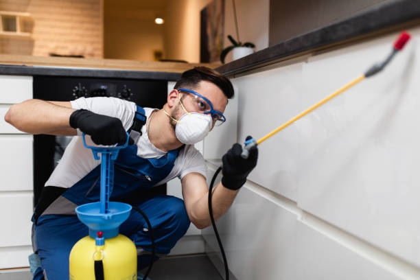 Best Ant Control Services  in New Berlinville, PA
