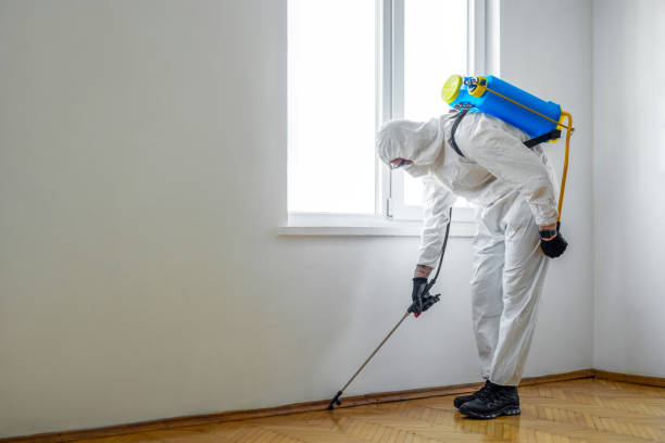 Best Wildlife Control Services  in New Berlinville, PA